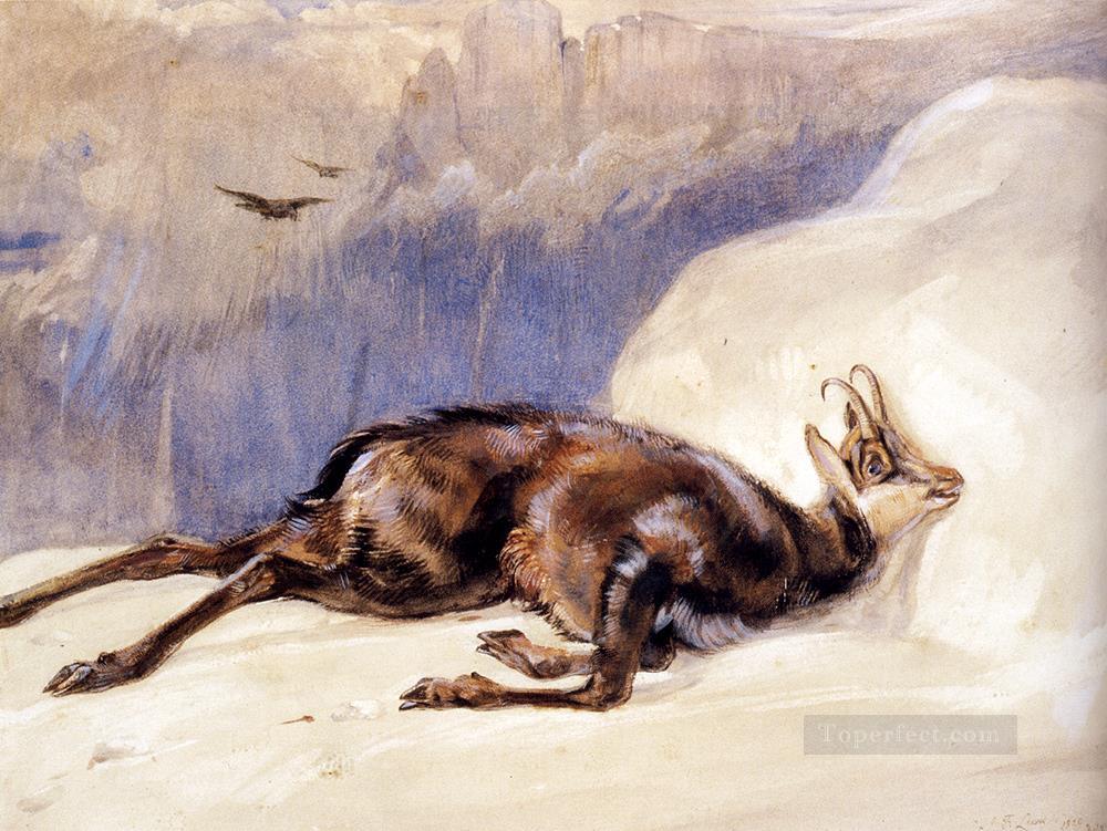 The Chamois Sketched In The tyrol animal John Frederick Lewis Oil Paintings